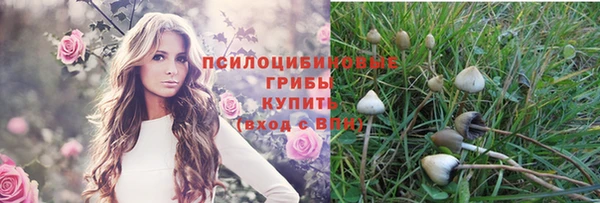 спайс Алексеевка