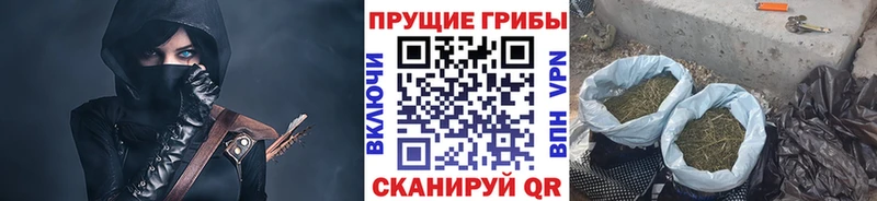 Псилоцибиновые грибы MAGIC MUSHROOMS  Тогучин 